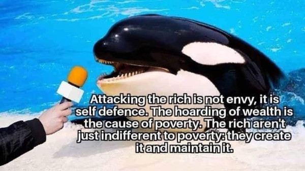 Orca being interviewed: Attacking the rich is not envy, it is self-defense. The hoarding of wealth is the cause of poverty. The rich aren't just indifferent to poverty: They create it and maintain it