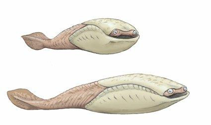 weird prehistoric fish
