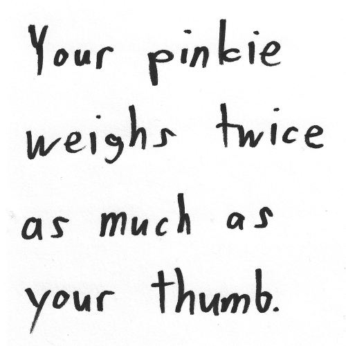 Your pinkie weighs twice as much as your thumb.
