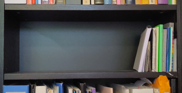 photography of an almost empty shelf compartment