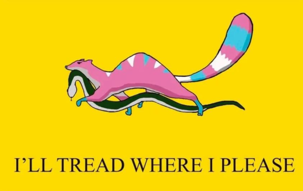 [Illustration of a mongoose in "trans" colors carrying a dead snake on a Yellow background with the text, "I'll tread where I please", invoking the historic Gadsden flag]