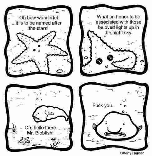 1 Starfish: Oh how wonderful it is to be named after the stars!
2 Starfish: It’s an honor to be associated with those beloved lights up in the night sky.
3 Starfish: Oh, hello there Blobfish!
Blobfish: Fuck you.