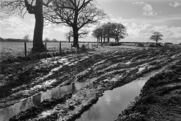 Black and white photo showing part of a field with tractor ruts in the mud filled with water. There are bare winter trees by the fence line to the left, and heaps of material further in. A few fluffy clouds in an otherwise clear sky.