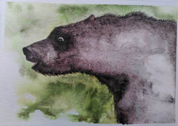Watercolour bear looking to the left side. Background in greens.