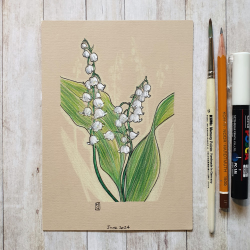 Original drawing - Lily of the Valley Flowers
A colour drawing of white lily of the valley flowers.
Materials: colour pencil, mixed media, acid free beige pastel paper
Width: 5 inches
Height: 7 inches