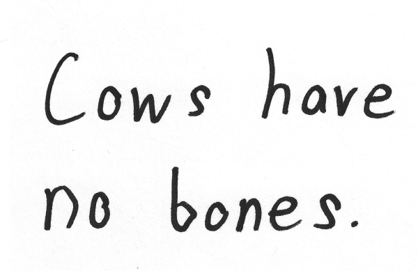 Cows have no bones.
