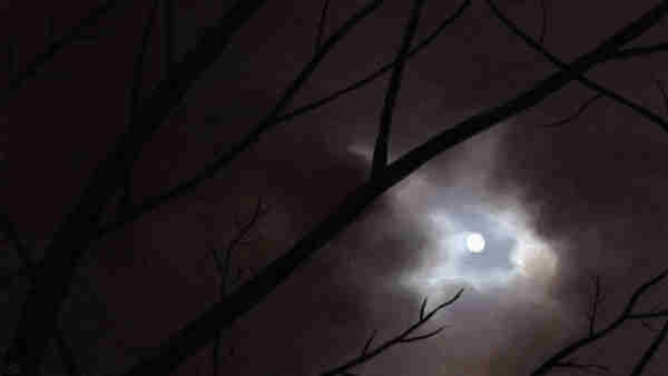Digital painting of a full moon among clouds at night, with the black silhouettes of bare branches dividing the frame into pieces.