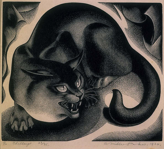 engraving of black cat hissing and ready to attack