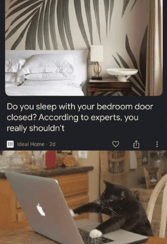 (A cat tapping on a laptop)  Do you sleep with your bedroom door closed? According to experts, you really shouldn't