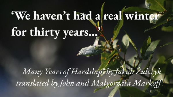 Snow melts on a bush, with a quote from Jakub Żulczyk's short story Many Years of Hardships, translated by John and Małgorzata Markoff: 'We haven't had a real winter for thirty years…'