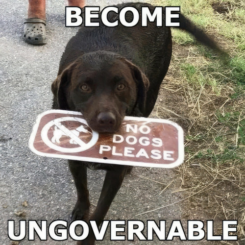 BECOME
NO
DOGS
PLEASE
UNGOVERNABLE