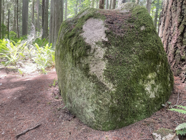 A huge, mossy rock.