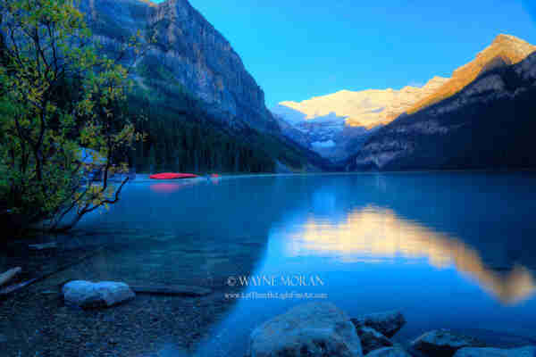 Lake Louise Autumn Bright Sunrise Banff National Park Alberta Canada
Banff National Park - Canadian Rockies Banff National Park Photography Tour - Jasper National Park Alberta Canada

https://fineartamerica.com/featured/lake-louise-autumn-bright-sunrise-banff-national-park-wayne-moran.html

Be sure to check out all the details of the trip on the blog post: 
http://www.WayneMoranPhotography.com/blog/banff-national-park-photography-tour-simply-amazing/


#LakeLouise #Banff #Alberta #Canada #mountainLake #Nature #Mountains #Hiking #Getoutside #travel #travelphotography #landscapephotography #buyintoart #Ayearforart #fineart #art