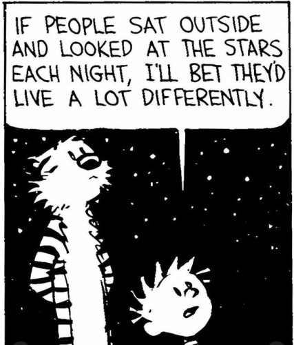 Calvin and Hobbes cartoon where the two are looking up at a night sky full of stars. Calvin says, "If people sat outside and looked at the stars each night, I'll bet they'd live a lot differently"