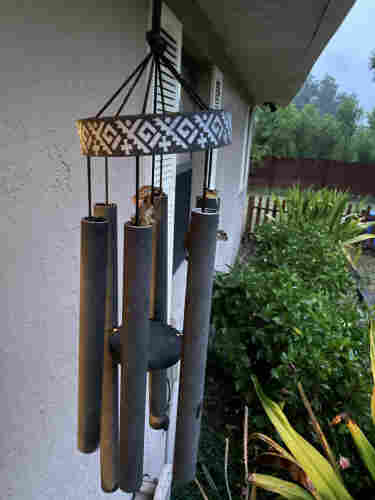 Black metal wind chimes hang under the eaves of a home’s exterior. From several tubes cuban tree frogs peek out, ready to start their evening snack hunt. In the background are various green shrubs, freshly dampened by a light subtropical rain.