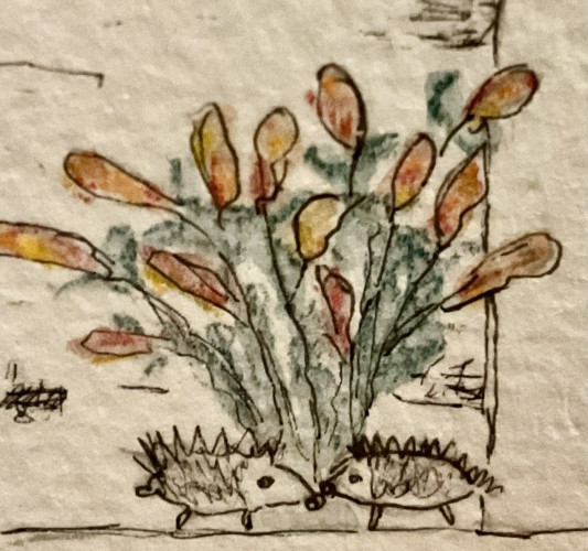 A hand-drawn image of two hedgehogs with a cluster of colorful leaves or flowers in the background. The drawing is on textured paper.