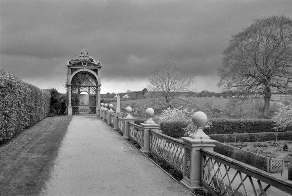 In the left half of this black and white photo a terrace with hedge to the left and a wooden balustrade to the right leads towards an elaborate vine-covered pergola. To the right is a bare winter tree; overhead are moody clouds.