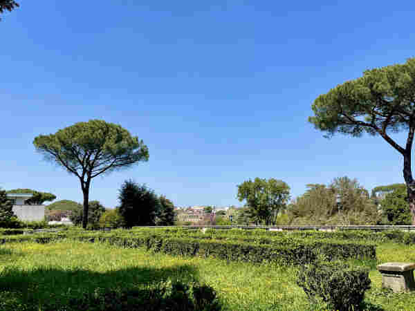 View of Parioli from the terraces in front of the National Gallery of Modern Art in Rome. Warm spring/summer day, blue sky, green grass, and 2 umbrella pines composing at the edges, building on the horizon 