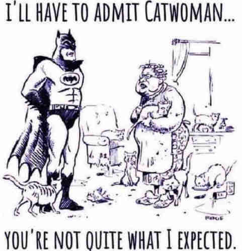 Batman says "I have to admit, you're not what I expected" to an old chubby lady surrounded by cats lol 