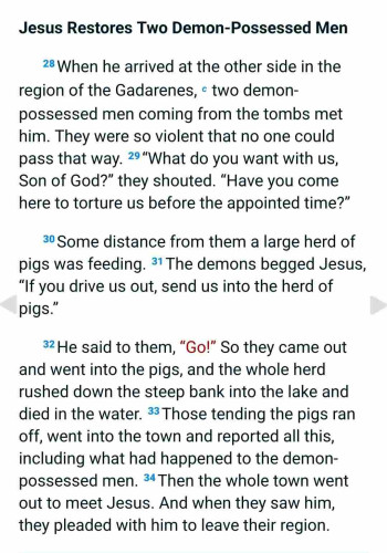 Jesus Restores Two Demon-Possessed Men

28When he arrived at the other side in the region of the Gadarenes, c two demon-possessed men coming from the tombs met him. They were so violent that no one could pass that way. 29“What do you want with us, Son of God?” they shouted. “Have you come here to torture us before the appointed time?”

30Some distance from them a large herd of pigs was feeding. 31The demons begged Jesus, “If you drive us out, send us into the herd of pigs.”

32He said to them, “Go!” So they came out and went into the pigs, and the whole herd rushed down the steep bank into the lake and died in the water. 33Those tending the pigs ran off, went into the town and reported all this, including what had happened to the demon-possessed men. 34Then the whole town went out to meet Jesus. And when they saw him, they pleaded with him to leave their region.
