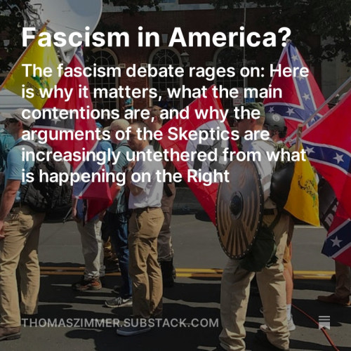 Screenshot of Part I of my “Democracy Americana” newsletter on the fascism debate: “Fascism in America? The fascism debate rages on: Here is why it matters, what the main contentions are, and why the arguments of the Skeptics are increasingly untethered from what is happening on the Right”