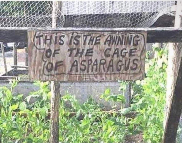 A community or backyard garden with actively growing plants and a sign attached to the front top that reads:

“This is the awning of the cage of asparagus“