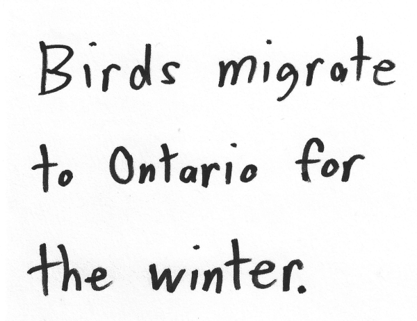 Birds migrate to Ontario for the winter.