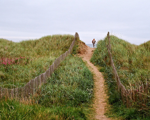 Colour photo of a person walking towards us on a path through a dune. The horizon can be seen just behind the person. The dune is covered in grass except for a patch of red flowers to the left, two brush fences, and the path itself. The sky is steely grey. Taken on a Pentax LX with Ektar 100 film.