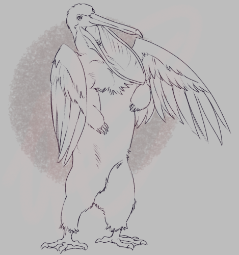 A quick sketch of a gryphon based on the official bird and mammal of the State of Louisiana. In this case, a mix of an American black bear and a brown pelican. It is standing up on webbed talons, clawed bear hand resting on its abdomen as its wings start to spread. Its mouth is opened, looking down to some sort of potential pray off screen.