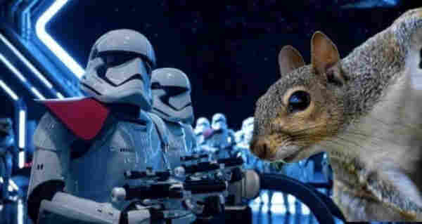 Picture a squirrel sticking its head into the RHS of a scene from Star Wars showing the Imperial storm troopers in the landing bay of the Death Star.