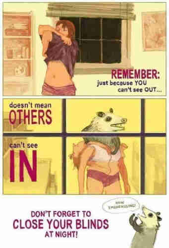 First image is of a woman in the process of pulling her top off, displaying her midriff. Text says "REMEMBER: just because YOU can't see OUT..."

Second image is of the "woman" actually being a possum wearing a human woman's costume and unzipping it, displaying the possum inside. Text says "doesn't mean OTHERS can't see IN"

Third image is of a possum with a speech bubble that says "How embarassing!" and text that says "DON'T FORGET TO CLOSE YOUR BLINDS AT NIGHT!"