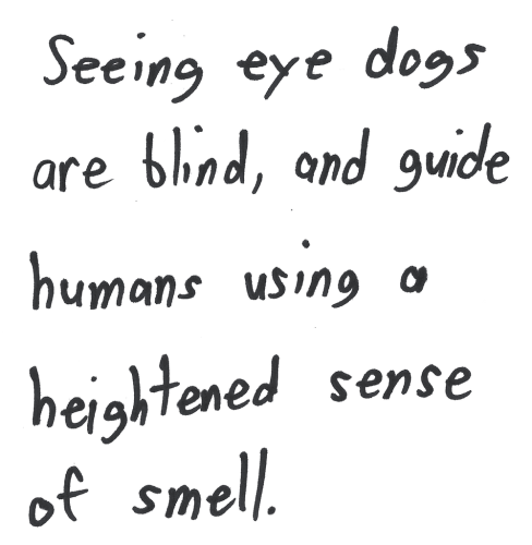 Seeing eye dogs are blind, and guide humans using a heightened sense of smell.