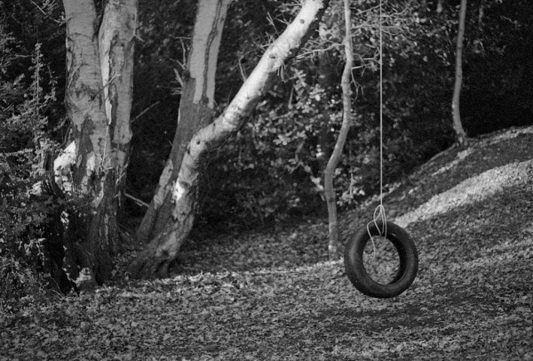 A tyre and rope swing hangs from a tree in woodland. Black and white photo.