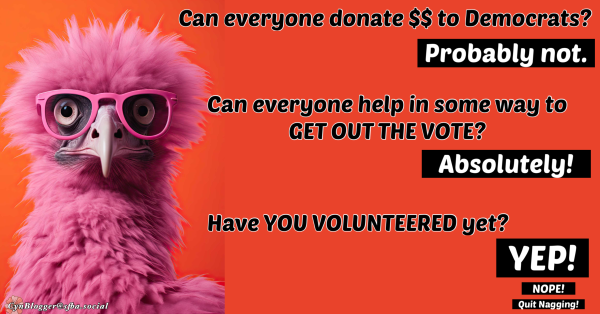 Meme: Orange background with a weird pink bird wearing pink eyeglasses on the left border. Text in black & white reads, “Can everyone donate $$ to Democrats? Probably not. Can everyone help in some way to GET OUT THE VOTE? ABSOLUTELY! Have you volunteered yet! YEP. NO. Stop nagging me.” 