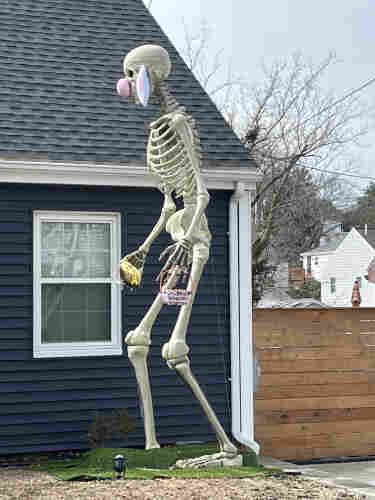 Very tall Skelton with bunny ears, fluffy nose, Easter egg and basket
