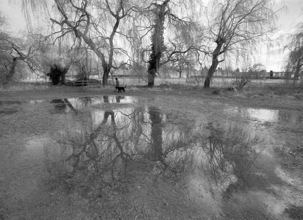 A woman walks her dog past floods in Abbey Fields; the bare willow trees behind her are reflected in the flood waters. Pentax MX, Tamron 17mm with built-in yellow filter, HP5 at EI 800. Black and white photo.