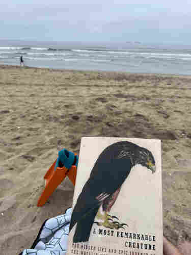 A book titled "A Most Remarkable Creature" held in one hand with a sandy beach, the ocean, and a distant figure walking along the shore in the background. A pair of orange swinfins and part of a patterned cloth are also visible.
