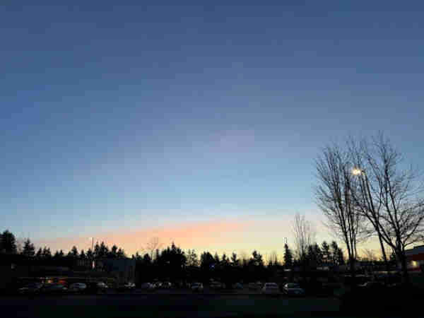 Blue morning sky with horizontal streaks of pink near the horizon. Beneath are dark trees and a parking lot. 