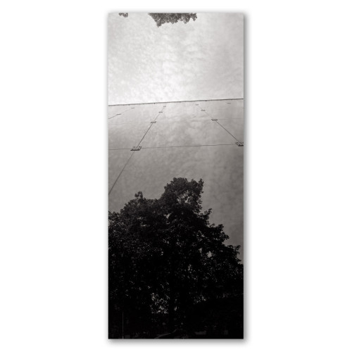 A monochrome vertical panorama (vertorama) of the external glass side of the Willis Building in Ipswich. Reflected is a tree. At the top of the frame is tip of the reflected tree surrounded by cloudy skies.