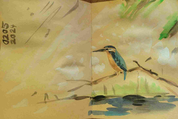Aquarellskizze im kleinen Skizzenbuch über 2 Seiten gelblichem Papier: auf einem Zweig über einem Gewässer sitzt ein blau und oranger Vogel mit langem spitzen Schnabel, er schaut nach links 