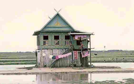 This is a photo of a typical Bugis farm house.

It shows a two-storey house surrounded by water. The house itself is on a small patch of sand.

The house has rough, undyed wood panelling on the bottom floor, with laundry strung on its outside.

The upper floor is elaborate. Many windows are visible, with colourful shutters. The upper floor is painted in a spring-green with light yellow accents. Some pink curtains are visible in each window. The house has a small balcony.

The roof is triangular, with some extensions to each side. It is panelled in light blue and with yellow accents again. The roof beams cross.

The background shows a flat, low plateau with some grass or fields. Waterbirds perch at the edge of the river. The sky is hazy with heat.

The houses are so constructed due to the Bugis belief that there are gods above and below, & that they both settled the formerly empty middle. So each floor represents a divine sphere.