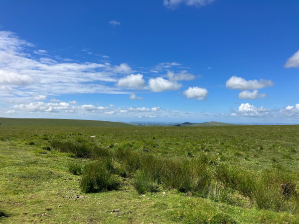 Photo of across moorland - short grass with clumps of darker green rush - past granite tors and towards Plymouth sound in the far distance. The sky is bright blue with a few white fluffy and wispy clouds.