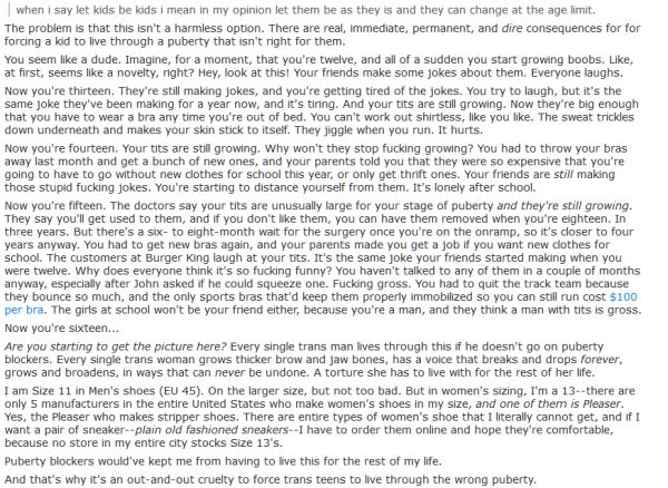 A screenshot of a Reddit post. It's long, and goes far over the character limit on Mastodon. It basically walks this cis guy what it'd be like, year by year, to start growing boobs at 12.