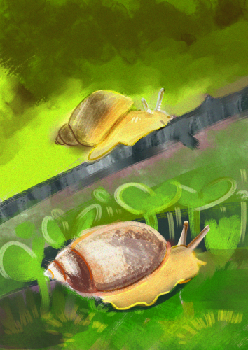 A painterly sketch of a snail climbing a stick and a snail in the clover below.