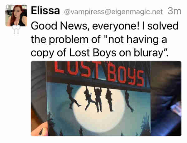 Movie cover clipped at an angle resulting in the title appearing to read “THE LUST BOYS”