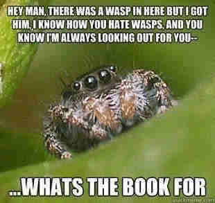 Spider: HEY MAN, THERE WAS A WASP IN HERE BUTUGOT HIM,I KHOW HOW YOU HATE WASPS, AND YOU KNOW IM ALWAYS LOOKING OUT FOR YOU-
…WHATS THE BOOK FOR