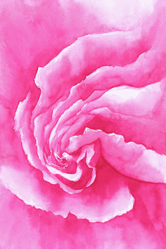 Pink Rose Close-up is a watercolor painting in portrait format painted by the artist Karen Kaspar. The painting shows the inside of a rose blossom in bright shades of pink and rose. The painting is monochrome in pink and pink shades, interrupted by the white of the paper background. The centre of the blossom is curling up like a spiral. The result is almost an abstract image of a spiral.