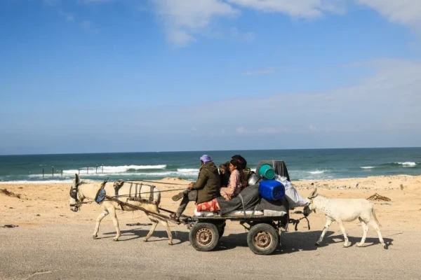 Palestinians fleeing Khan Younis on the coastal road leading to Rafah ride on a donkey cart with their belongings on January 25, 2024 [AFP]