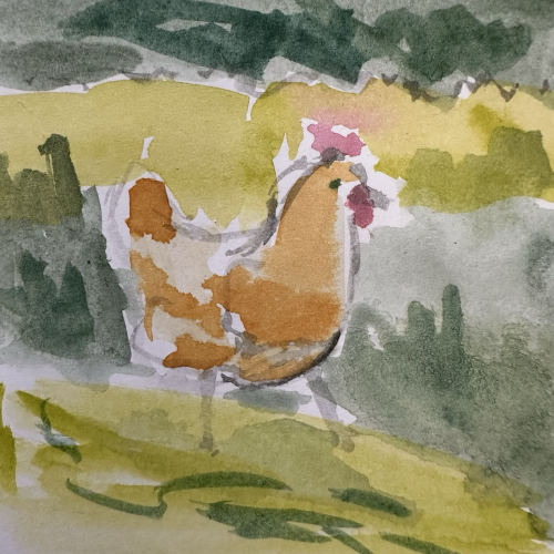 Orange hen in a grassy area