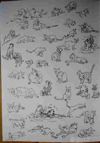 Black ink on paper. 
Quick sketches /linework.

Various sketches of cats.